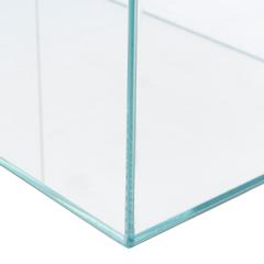 Foshan Square Aquarium Tank (50 x 33 x 30 cm)