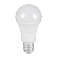 Osram LED Value Classic Bulb (13 W)