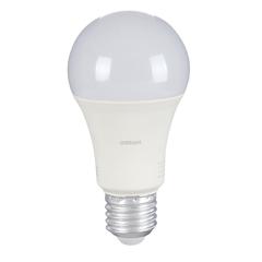 Osram Day Light LED Bulb (10 W)