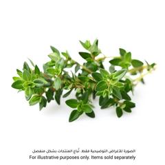 Click & Grow Thyme Plant Pod (20.5 x 8.3 x 6.8 cm)