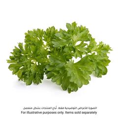 Click & Grow Parsley Plant Pod (20.5 x 8.3 x 6.8 cm)