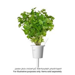 Click & Grow Parsley Plant Pod (20.5 x 8.3 x 6.8 cm)
