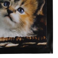 Polyester Kittens Printed Doormat (40 x 60 cm)