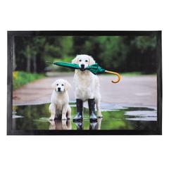 Polyester Golden Printed Doormat (40 x 60 cm)