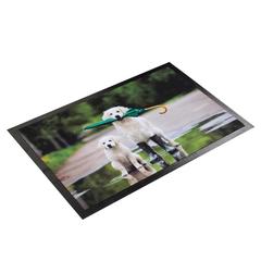 Polyester Golden Printed Doormat (40 x 60 cm)
