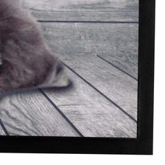 Polyester Dog Printed Doormat (40 x 60 cm)