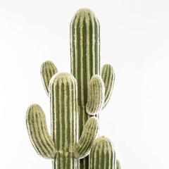 Artificial Cactus Plant (52 x 148 cm)
