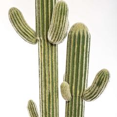 Artificial Cactus Plant (45 x 207 cm)
