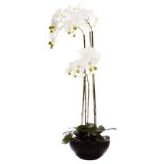 Artificial Orchid Plant W/Pot (46 x 30 x 115 cm)