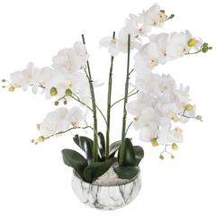 Artificial Orchid Plant W/Marble Pot (45 x 45 x 61.5 cm)