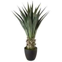 Artificial Agave Plant W/Pot (66 x 82.5 cm)