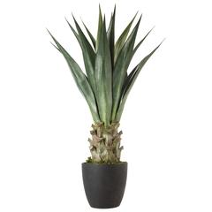 Artificial Agave Plant W/Pot (66 x 82.5 cm)