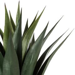 Artificial Agave Plant W/Pot (66 x 82.5 cm)