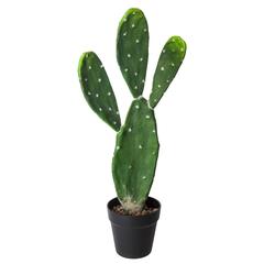 Artificial Cactus Plant W/Pot (22.5 x 62.5 cm)