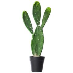 Artificial Cactus Plant W/Pot (22.5 x 62.5 cm)