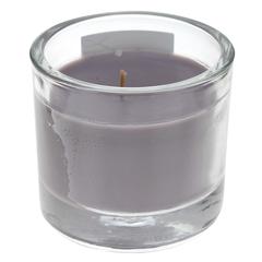 Gala Minnesota Wax Scented Candle In Glass W/ Metal Lid (9 x 8 cm, Coco Charlene)