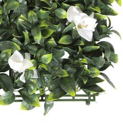 Decorative Green Leaves Square w/Large White Flowers (50 x 50 cm)