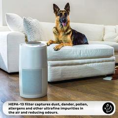 Instant Brands Air Purifier, AP300W (48 W)