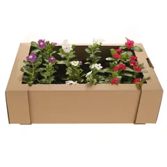 Vinca Live Outdoor Plant (Available In Assorted colors)