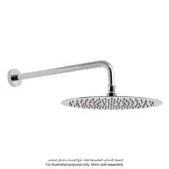 Bold Brass Street Oval Shower Head (22 x 34 cm)