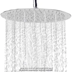 Bold Blue Rain St. Brass Shower Head W/Cover (30 x 0.4 cm)