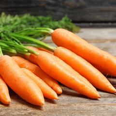 De Ree Carrot Early Nantes Seeds