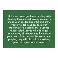 De Ree Lettuce Mix French Salad Leaves Seeds