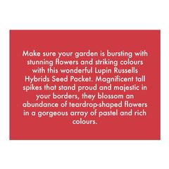 De Ree Lupin Russell Hybrids Seeds