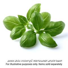 Click & Grow Basil Plant Pod (20.5 x 8.3 x 6.8 cm)