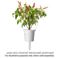 Click & Grow Chili Pepper Plant Pod (20.5 x 8.3 x 6.8 cm)