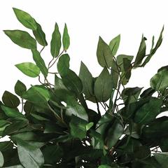 Atmosphera Ficus Artificial Plant W/Pot (77 x 77 x 130 cm)