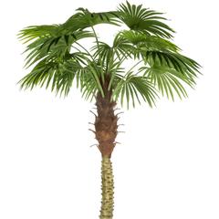 Atmosphera Artificial Palm Tree W/Pot (115 x 200 cm)