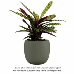 Artevasi Aura Ceramic Pot (29 cm, Olive Green)