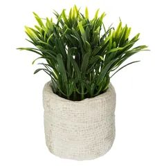 Artificial Plant W/Pot (Assorted colors/designs, 12 x 16 cm)