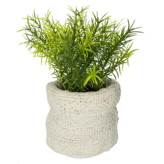 Artificial Plant W/Pot (Assorted colors/designs, 12 x 16 cm)
