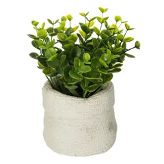 Artificial Plant W/Pot (Assorted colors/designs, 12 x 16 cm)