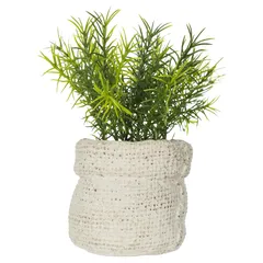 Artificial Plant W/Pot (Assorted colors/designs, 12 x 16 cm)