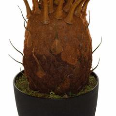 Atmosphera Artificial Cycas Plant W/Pot (90 cm)