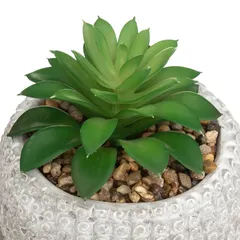 Artificial Succulent Plant W/Concrete Pot (Assorted colors/designs, 13.5 x 18 cm)