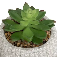 Artificial Succulent Plant W/Concrete Pot (Assorted colors/designs, 13.5 x 18 cm)