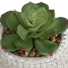 Artificial Succulent Plant W/Concrete Pot (Assorted colors/designs, 13.5 x 18 cm)