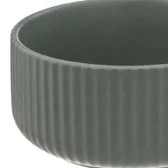 SG Ribbed Earthenware Bowl (800 ml, Green)