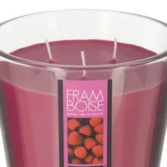 Comptoir de la Bougie Nina 3-Wick Scented Wax Candle (500 g, Raspberry)