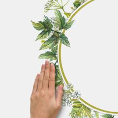 RoomMates Fern Peel & Stick Wall Decal W/Circle Mirror (24.13 x 60.96 cm, 3 Pc.)