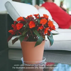صحن أصيص نباتات بلاستيكي أرتيفاسي (15 × 2.3 سم)