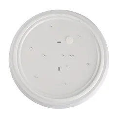 Osram Ledvance LED Ceiling Light (20 W, Warm White)
