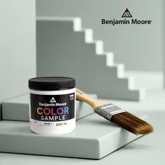 Benjamin Moore Interior Paint Sample (237 ml, Base 1, Eggshell)