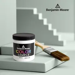 Benjamin Moore Interior Paint Sample (237 ml, Base 2, Eggshell)