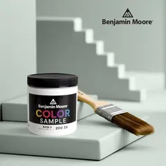 Benjamin Moore Interior Paint Sample (237 ml, Base 3, Eggshell)