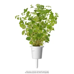 Click & Grow Oregano Plant Pods
